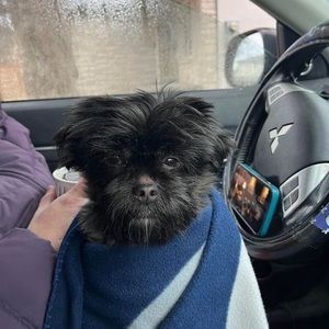 Meet your Posher, Jaime